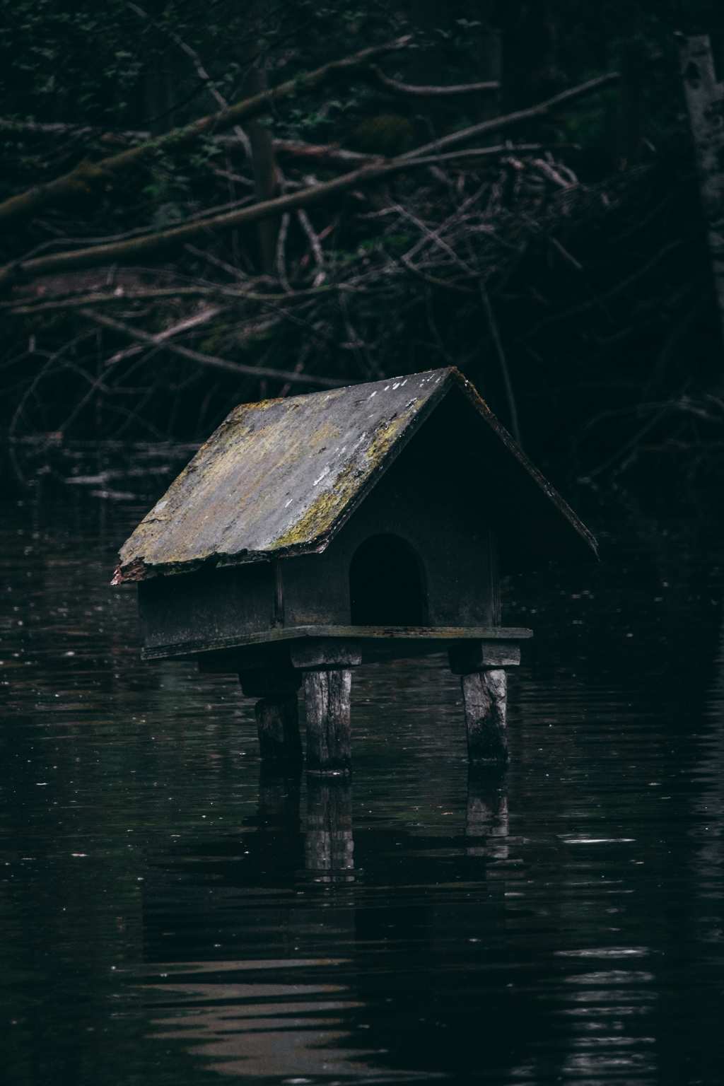 Eine kleine Holz-Hütte auf drei Beinen in einem See.