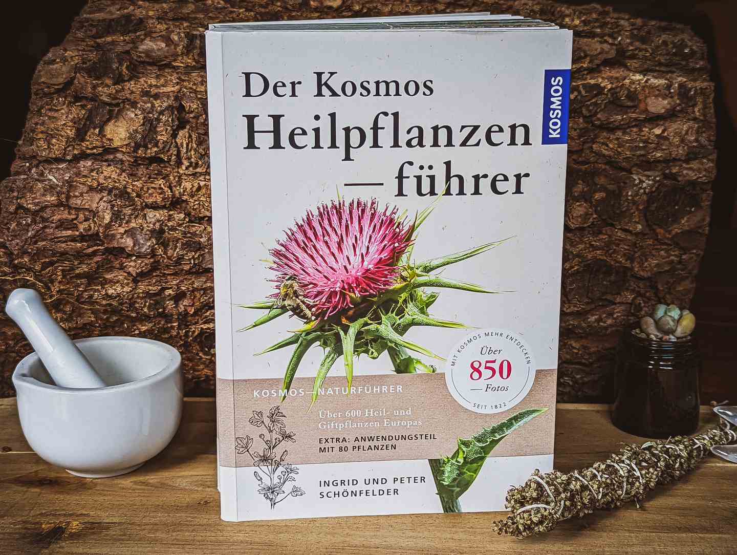 Der Kosmos Heilpflanzenführer Bestimmungsbuch Pflanzen Kräuter Heilpflanzen Review Rezension