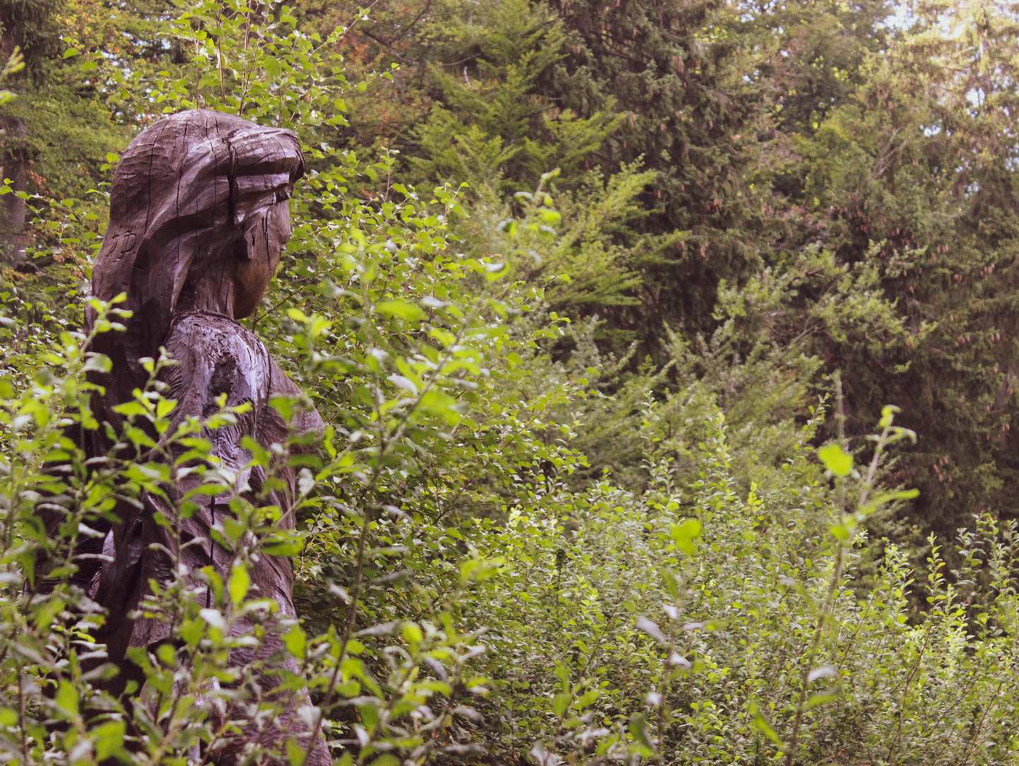 Frau Holle Figur aus Holz umgeben von hochgewachsenen Gräsern, Kräutern und Bäumen am Frau-Holle-Teich. Die Figur schaut zur Seite in Richtung Teich.