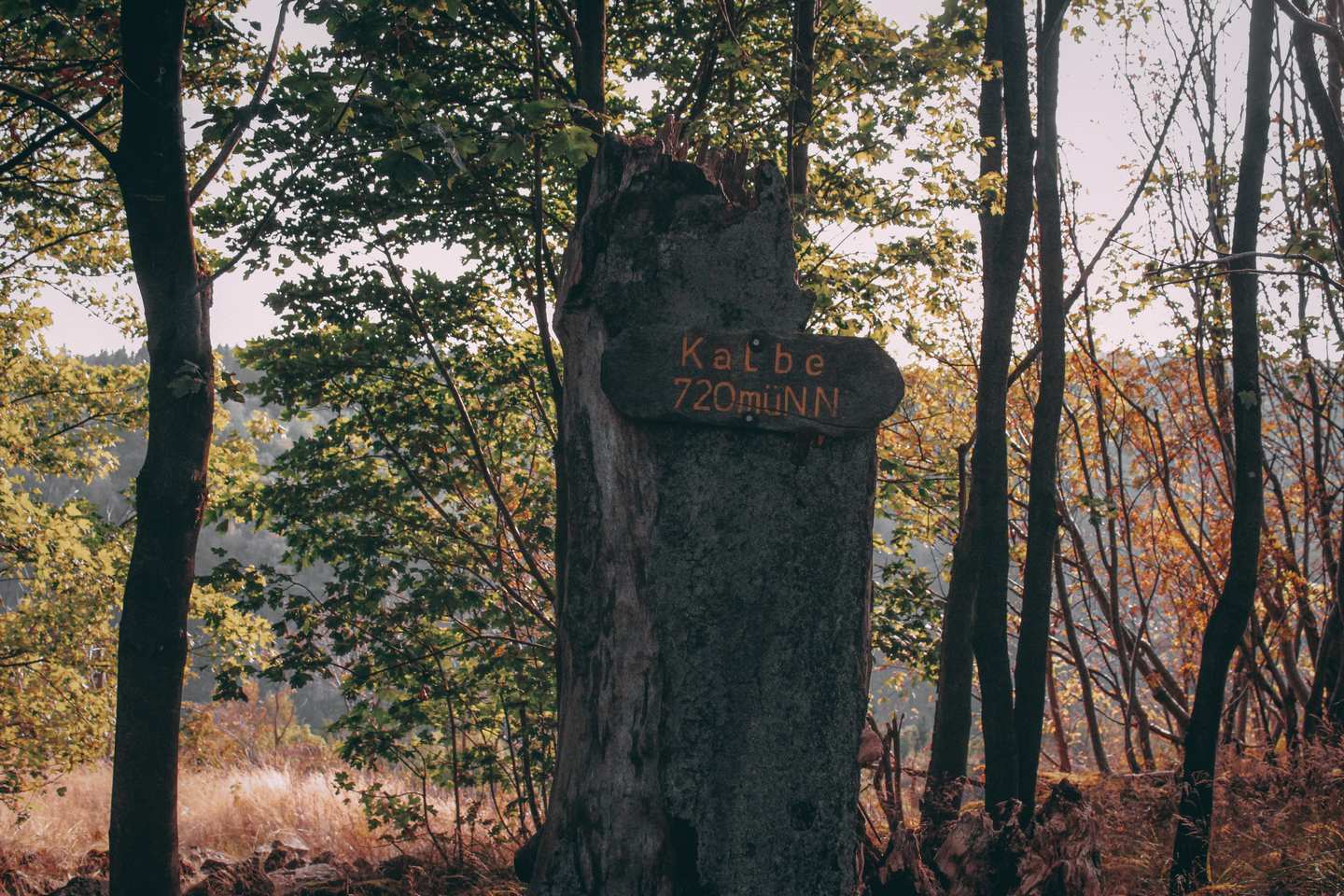 Oben auf der Kalbe angekommen, begrüßt uns das Schild mit der Aufschrift: Kalbe 720 müNN. Das Holzschild ist an einem Baumstumpf angebracht.